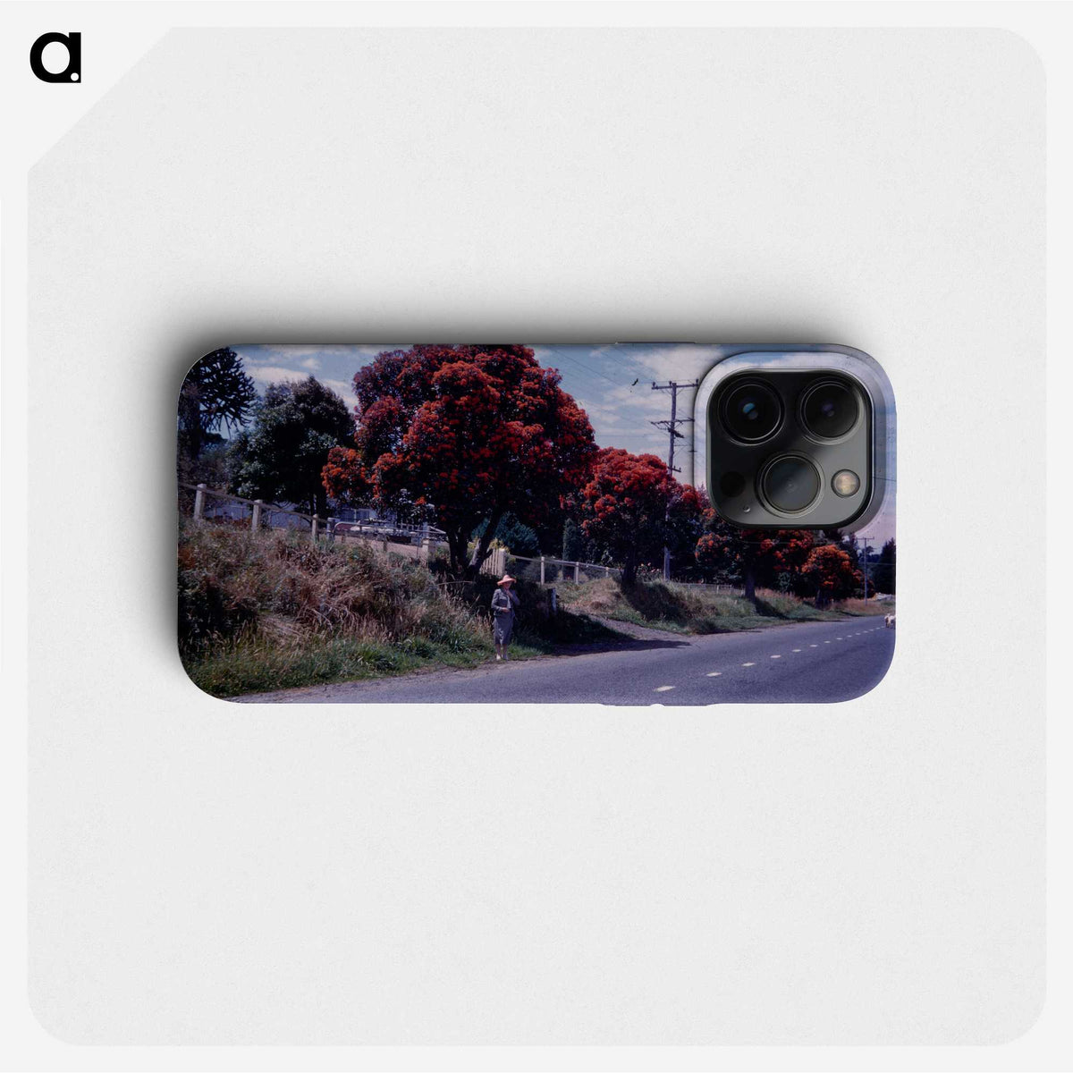 2-22_Leslie-Adkin_phone