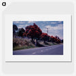 2-22_Leslie-Adkin_picture
