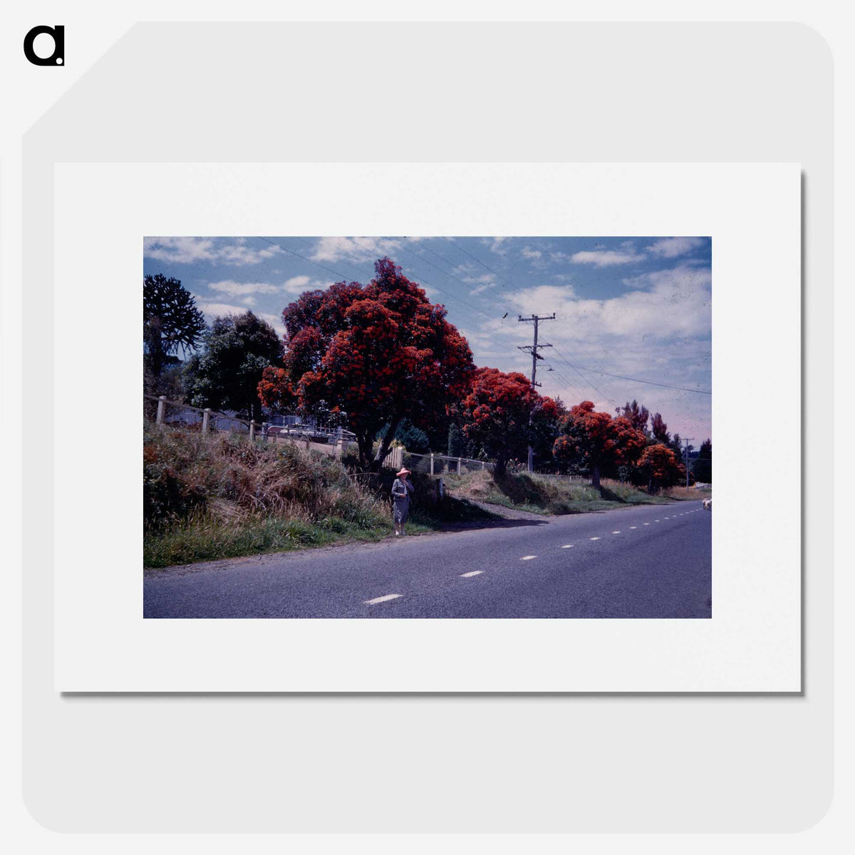 2-22_Leslie-Adkin_picture