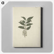 2-22_Luigi-Balugani_canvas