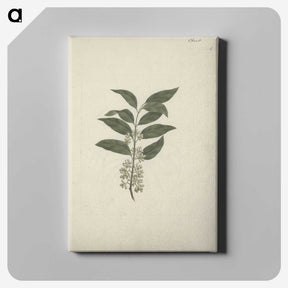 2-22_Luigi-Balugani_canvas