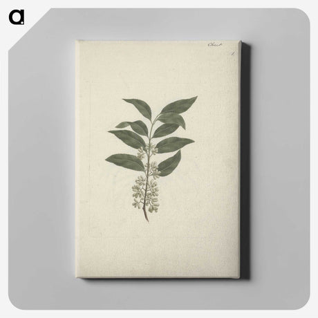 2-22_Luigi-Balugani_canvas