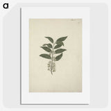 2-22_Luigi-Balugani_picture