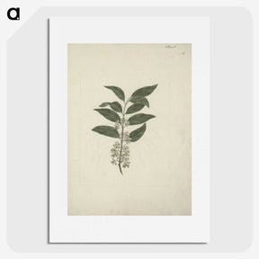 2-22_Luigi-Balugani_picture