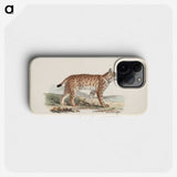2-22_Magnus-von-Wright_phone