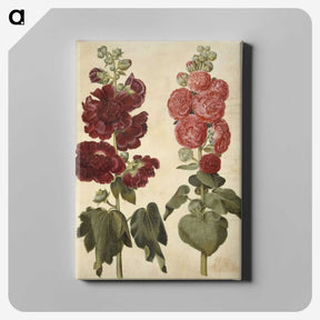 2-22_Maria-Sibylla-Merian_canvas