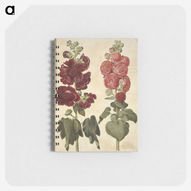 2-22_Maria-Sibylla-Merian_memo