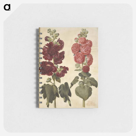 アートメモ帳-Alcea rosea (garden hollyhock)
 - マリア ジビーラ メーリアン Memo.