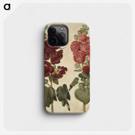 2-22_Maria-Sibylla-Merian_phone