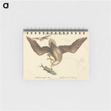 2-22_Mark-Catesby_memo