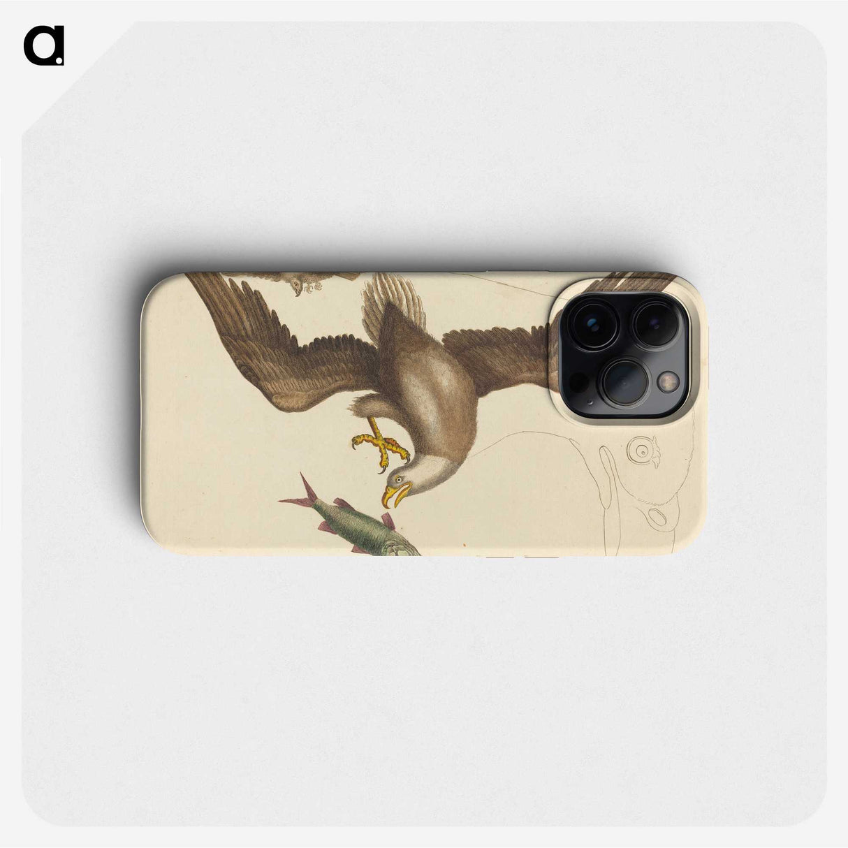 2-22_Mark-Catesby_phone