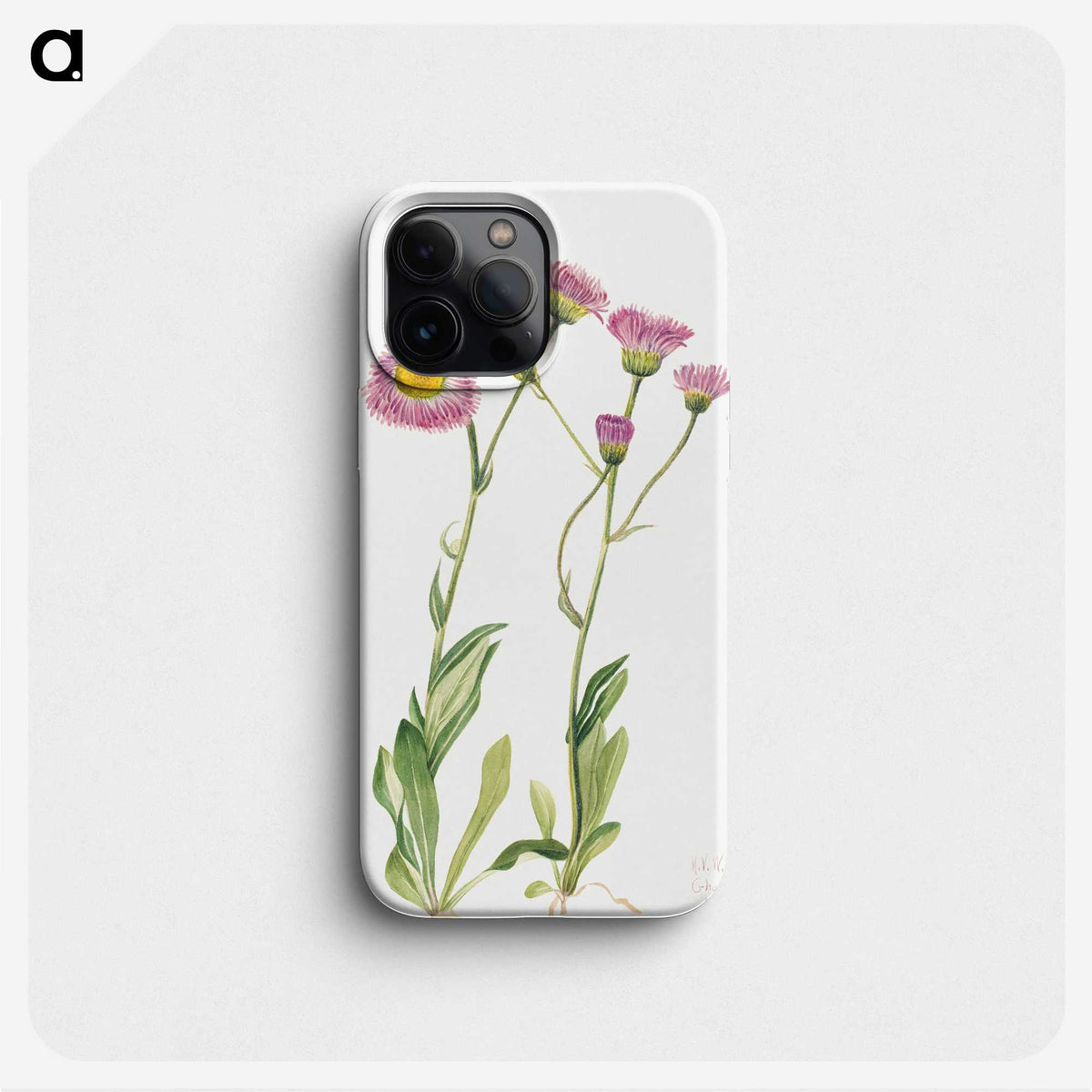 2-22_Mary-Vaux-Walcott_phone