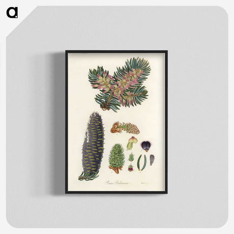2-22_Medical-Botany_blk-crop