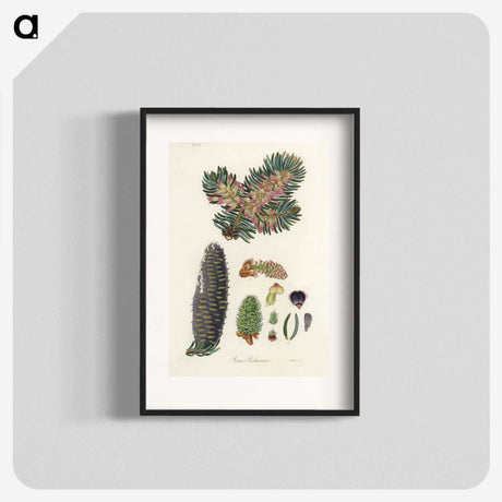 2-22_Medical-Botany_blk