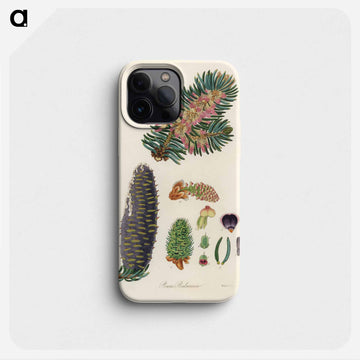 Balsam Fir Illustration
 - 薬用植物学 Phone Case.