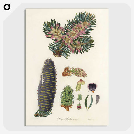 2-22_Medical-Botany_picture-crop