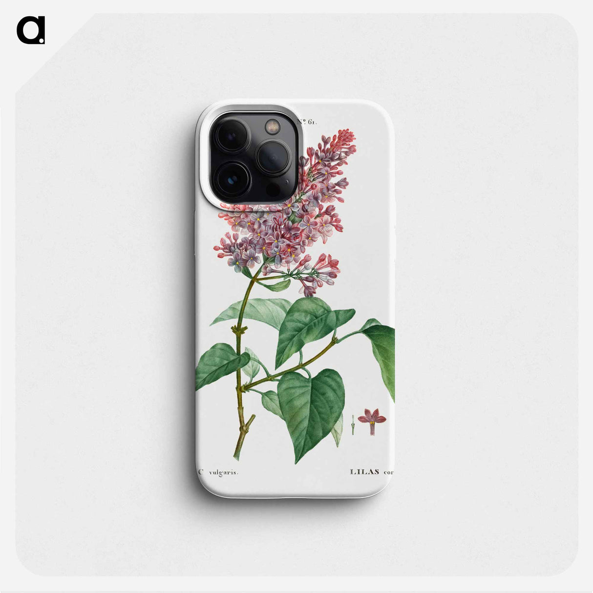 Comon lilac - ピエール ジョゼフ ルドゥーテ Phone Case.
