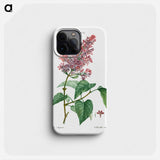 Comon lilac - ピエール ジョゼフ ルドゥーテ Phone Case.