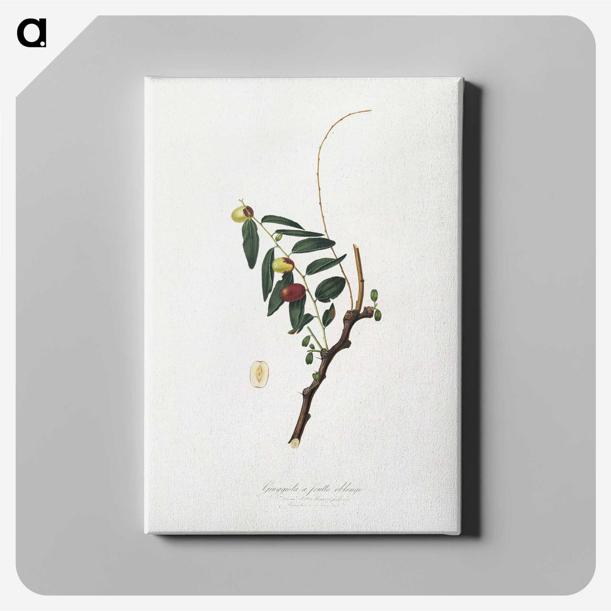 2-22_Pomona-Italiana_canvas