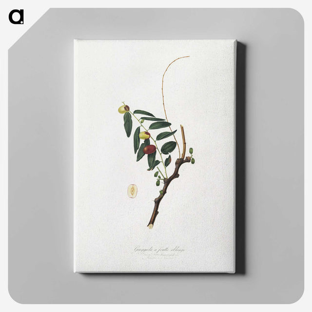 2-22_Pomona-Italiana_canvas