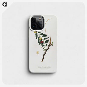 2-22_Pomona-Italiana_phone