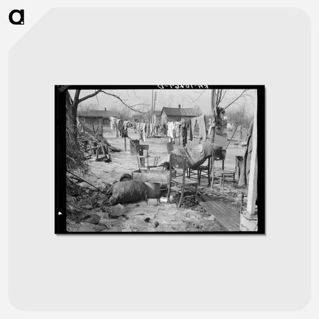 アートポストカード-Maunie Backyard After the Flood
 - ラッセル リー Postcard.