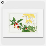 2-22_Seiyo-Soka-Zufu_picture