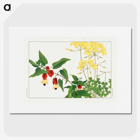 2-22_Seiyo-Soka-Zufu_picture