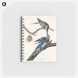 アートメモ帳-Passenger Pigeon
 - アメリカの鳥たち Memo.
