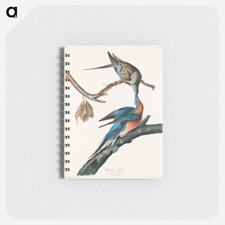 アートメモ帳-Passenger Pigeon
 - アメリカの鳥たち Memo.