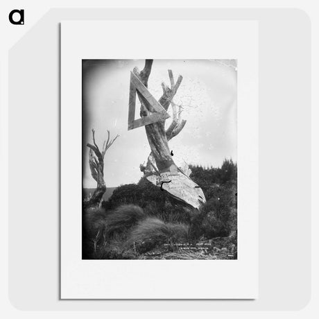 2-22_The-Burton-Brothers_picture