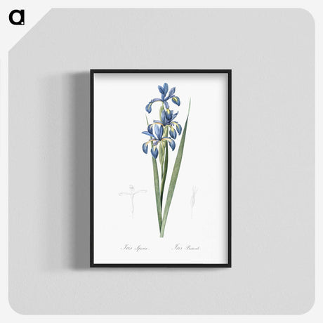 2-22_The-Lilies_blk-crop