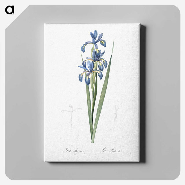 2-22_The-Lilies_canvas