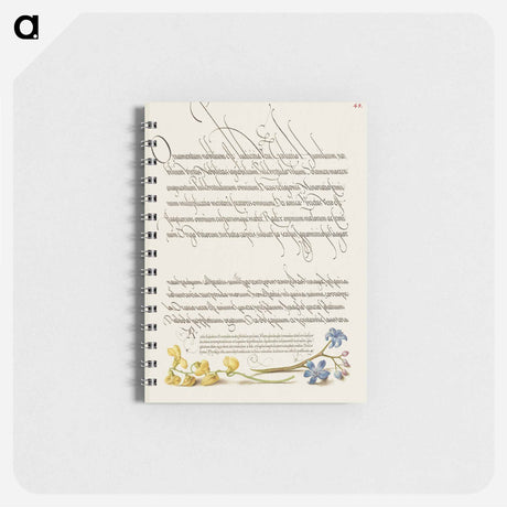 アートメモ帳-Bladder Senna and Alpine Squill from Mira Calligraphiae Monumenta
 - 書道のお手本 Memo.