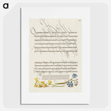 アートポスター-Bladder Senna and Alpine Squill from Mira Calligraphiae Monumenta
 - 書道のお手本 Poster.