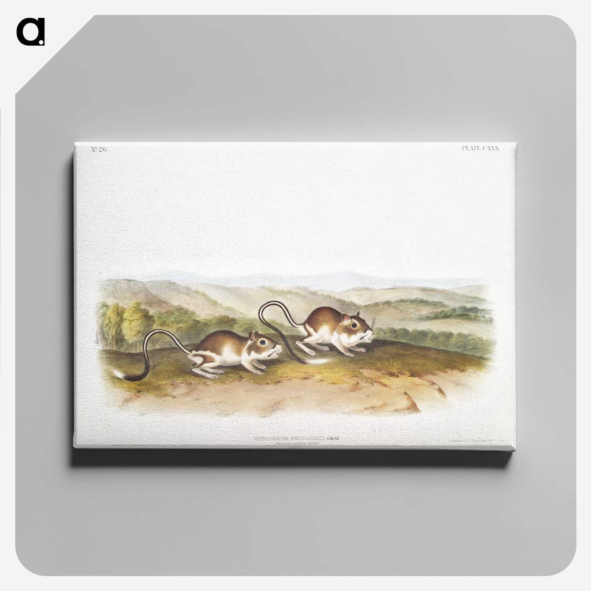 2-22_The-Viviparous-Quadrupeds_canvas