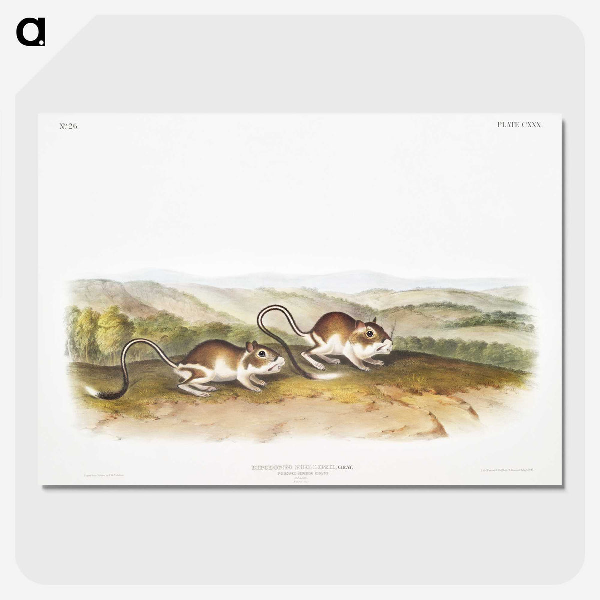 2-22_The-Viviparous-Quadrupeds_picture-crop