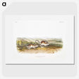 2-22_The-Viviparous-Quadrupeds_picture