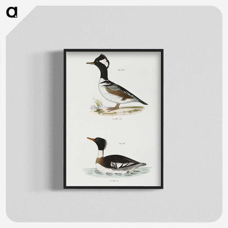 2-22_Zoology-of-New-York_blk-crop