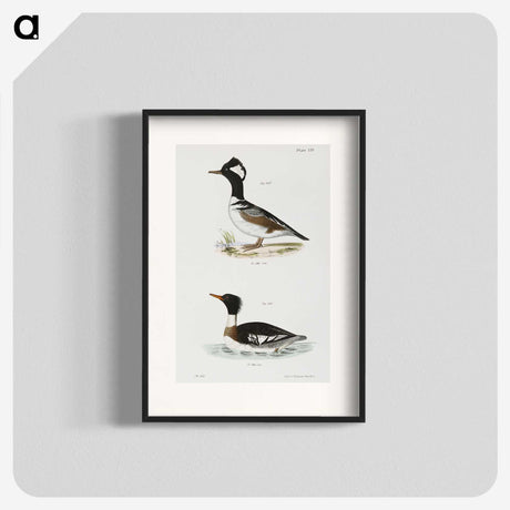 2-22_Zoology-of-New-York_blk
