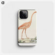 2-23_Anselmus-Boetius-de-Boodt_phone