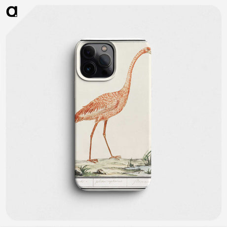 2-23_Anselmus-Boetius-de-Boodt_phone