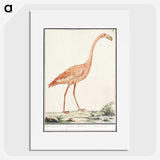 2-23_Anselmus-Boetius-de-Boodt_picture
