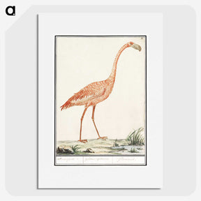 2-23_Anselmus-Boetius-de-Boodt_picture
