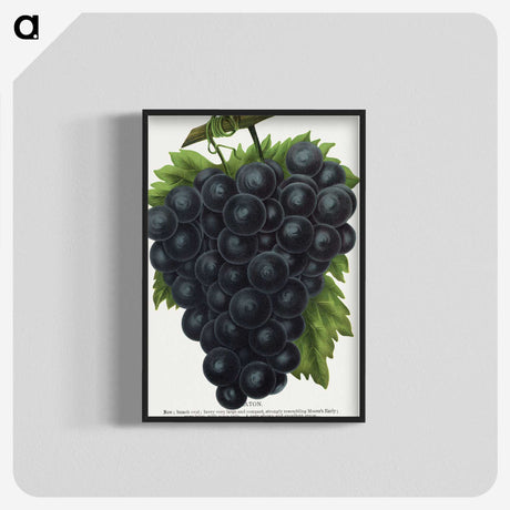 2-23_Botanical-Specimen-Plates_blk-crop