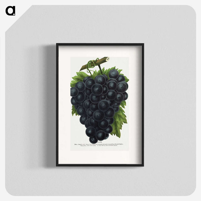 2-23_Botanical-Specimen-Plates_blk
