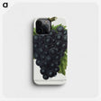 2-23_Botanical-Specimen-Plates_phone