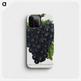 2-23_Botanical-Specimen-Plates_phone