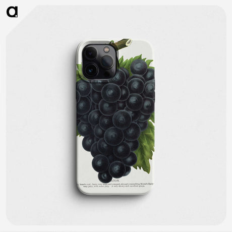 2-23_Botanical-Specimen-Plates_phone