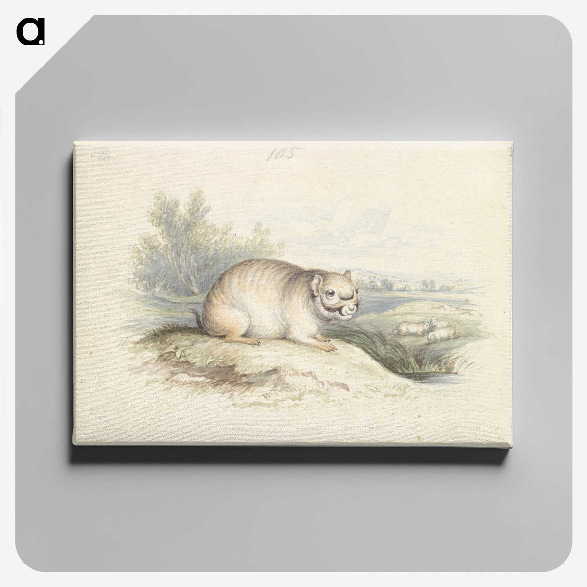 2-23_Charles-Hamilton-Smith_canvas